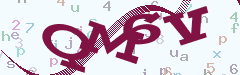 验证码